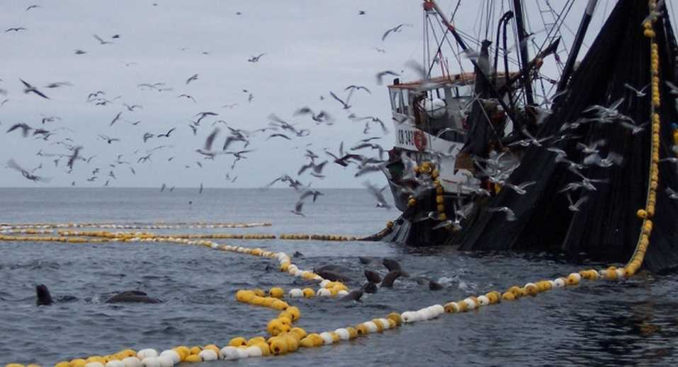 pesca-barco