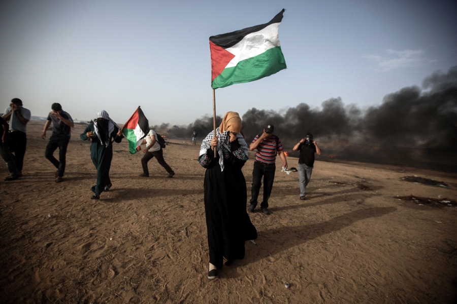 palestinaprotesta