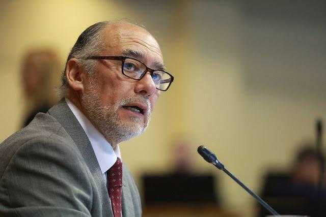 DIPUTADO FLORES