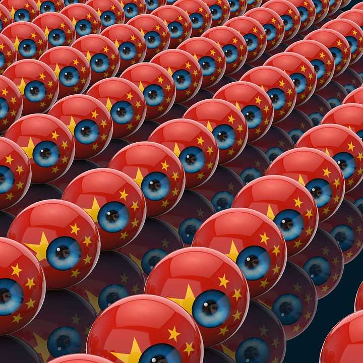 chinaobseervamono