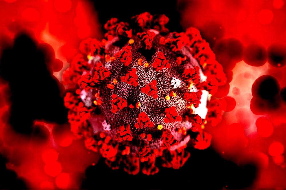virusmutate2