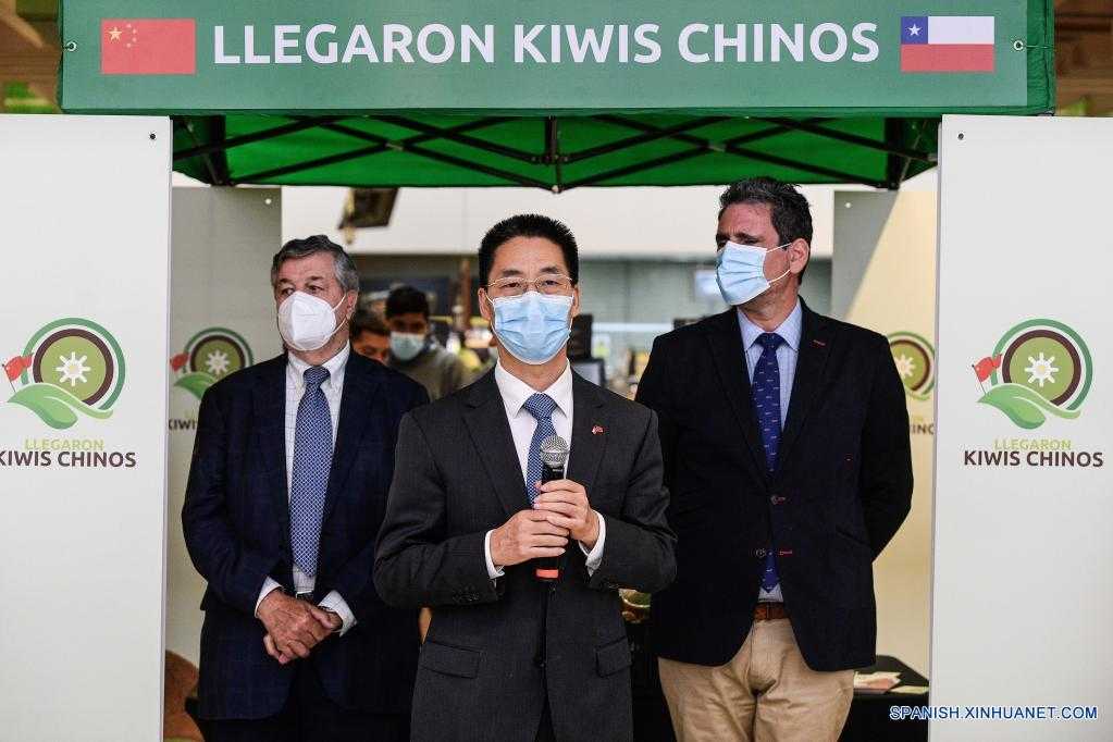 kiwis chinos1