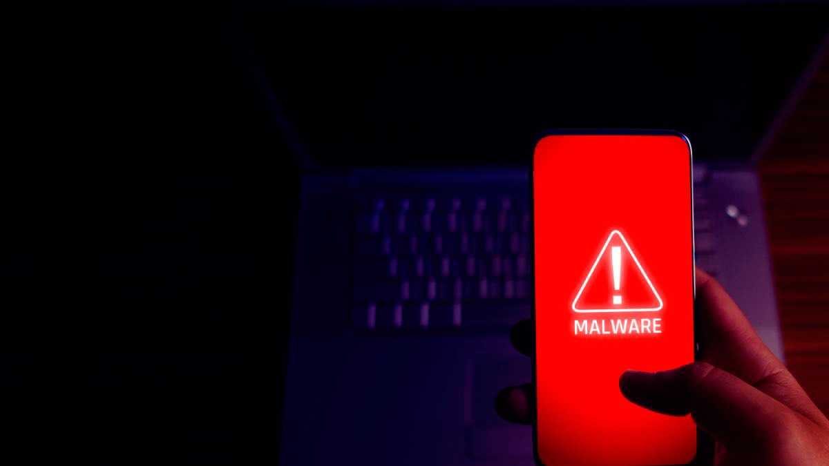 archivo infogate web-2-19
