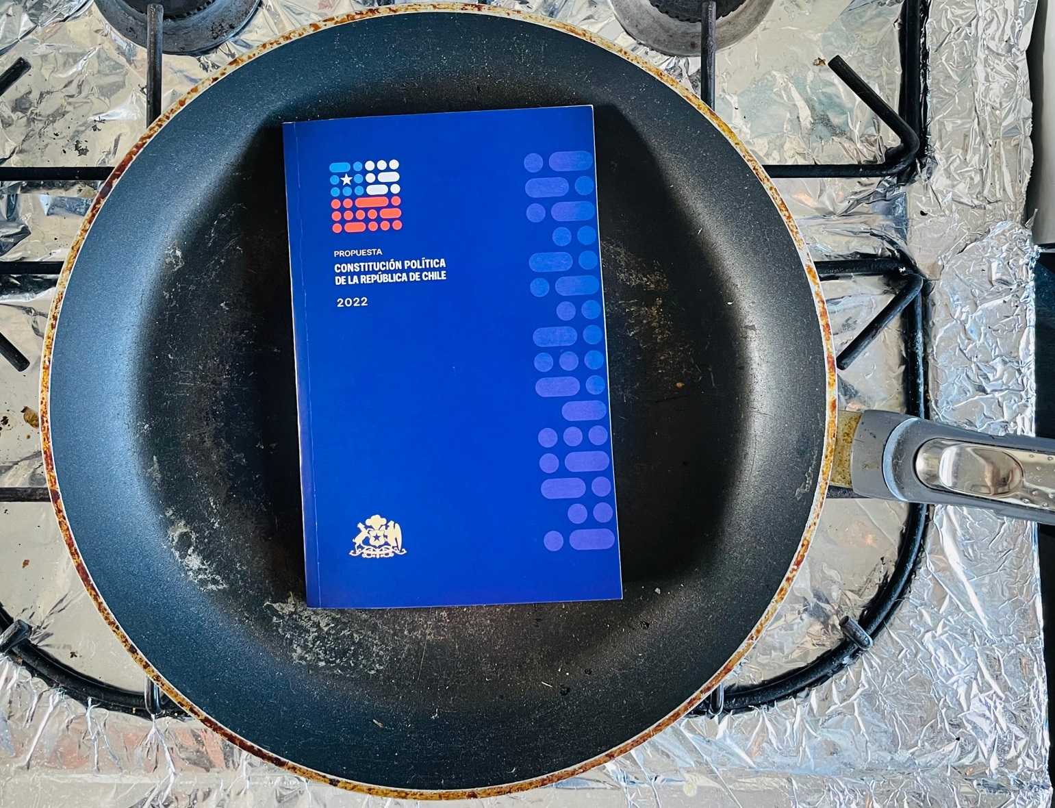 constitucionsarten2