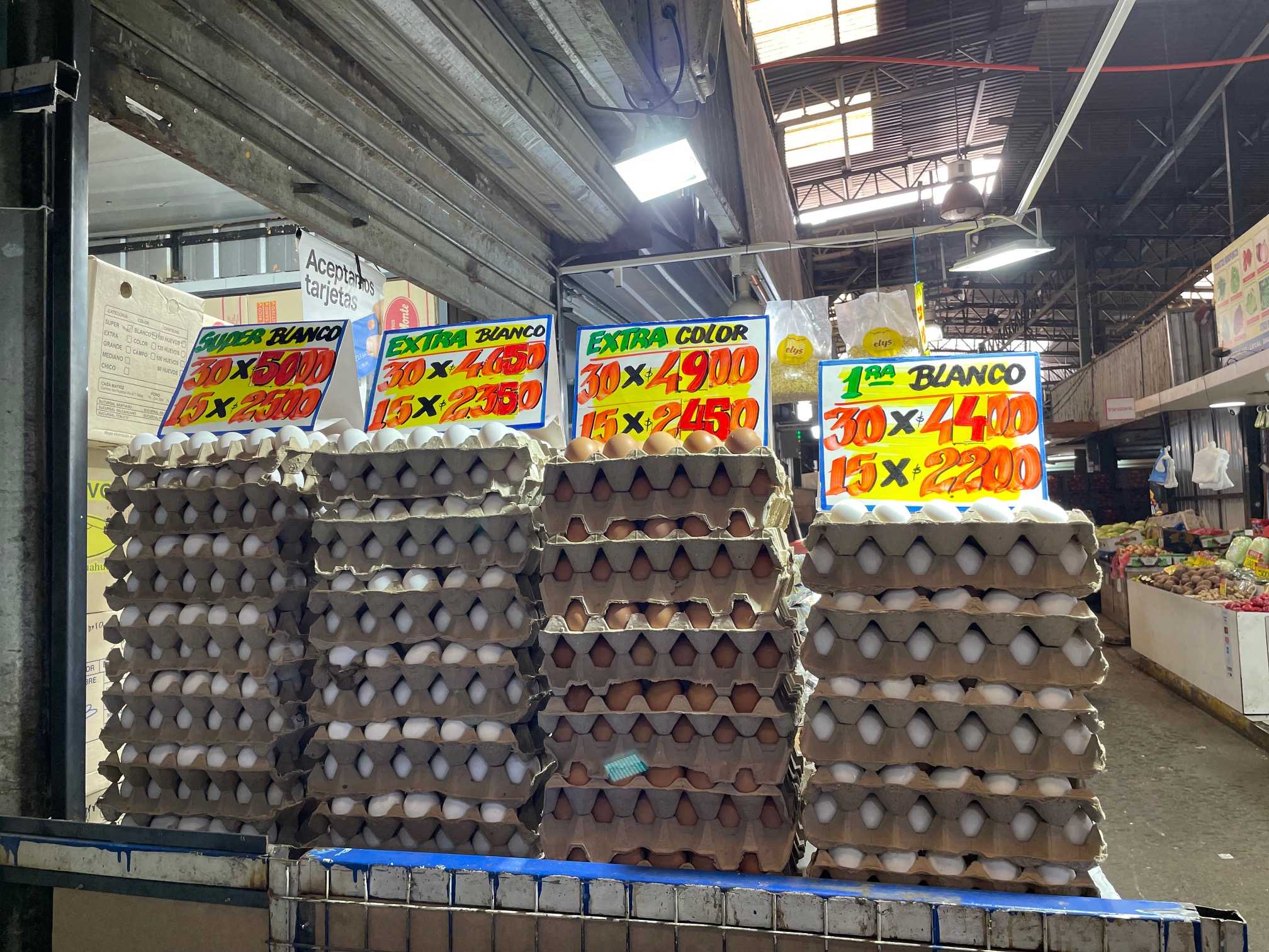 huevos-julio