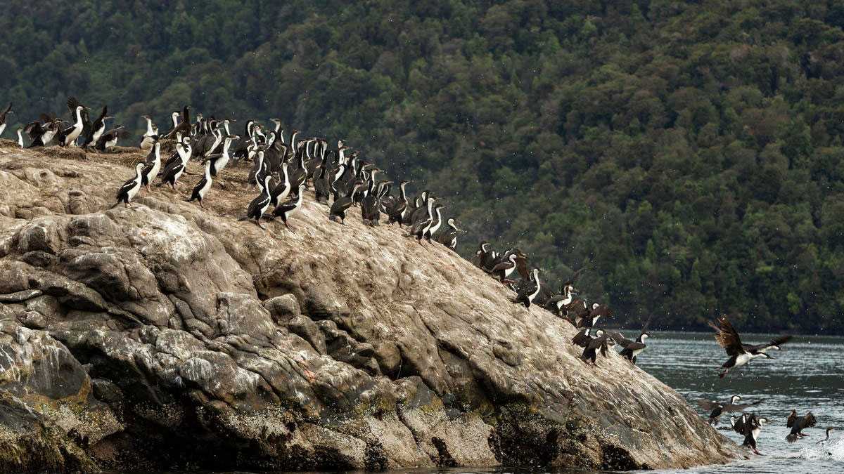 medioambiente060902