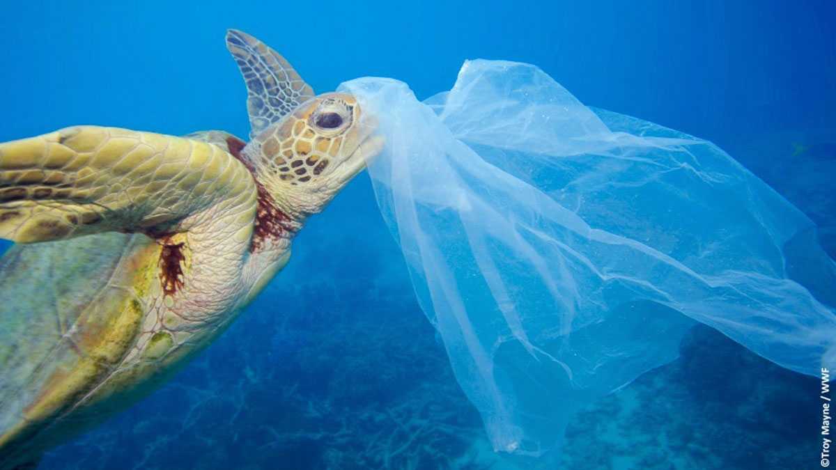 medioambiente220901