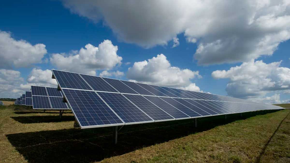 medioambiente240901
