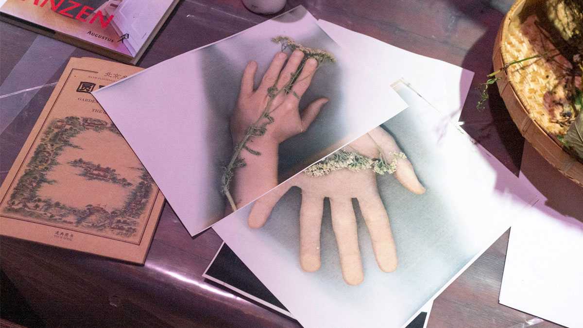 cultura061001