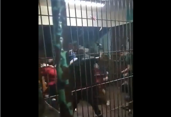 gendarmes-golpiza-púente alto