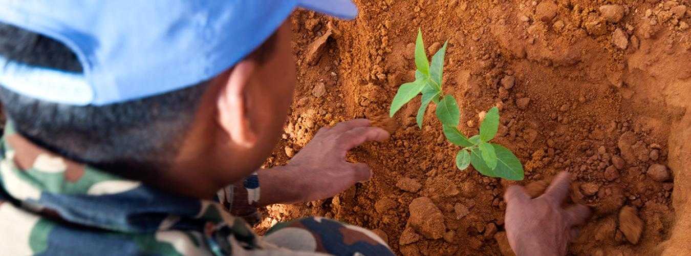 env-conflict-index