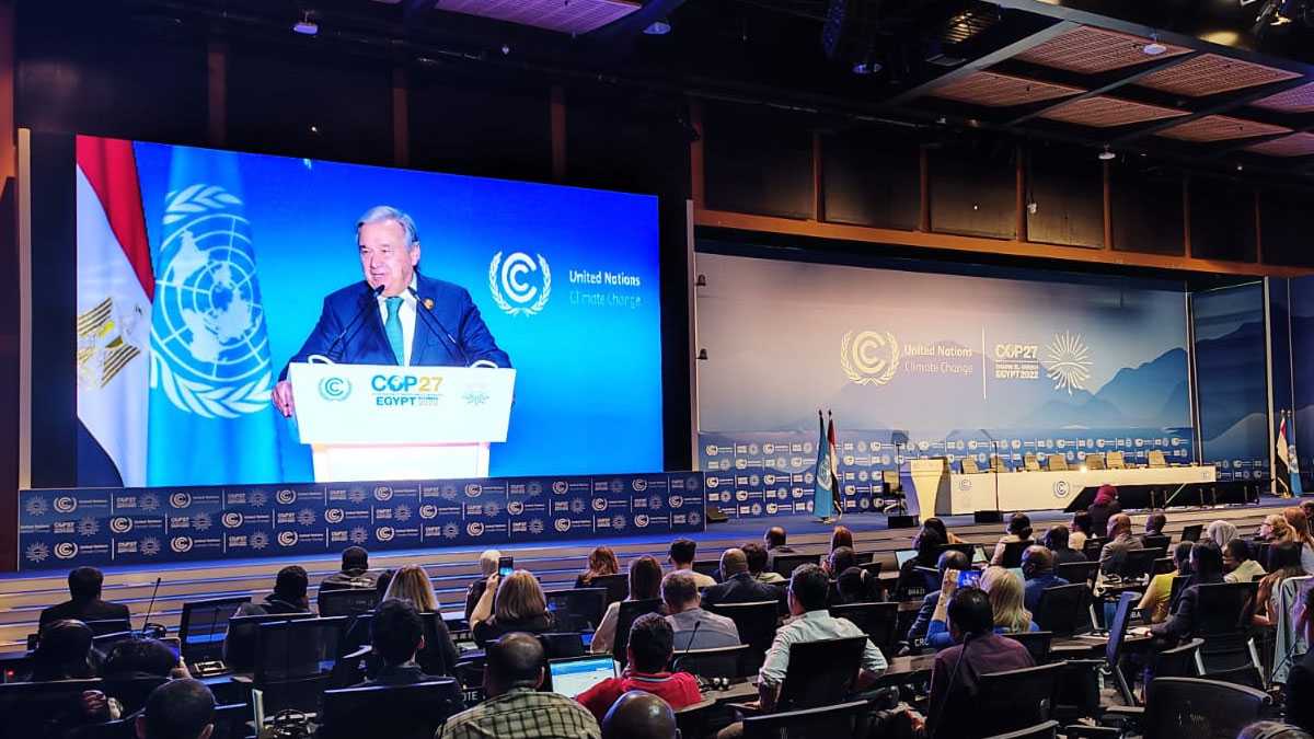 medioambiente081101