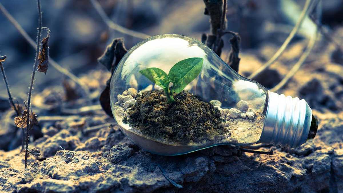 medioambiente141101