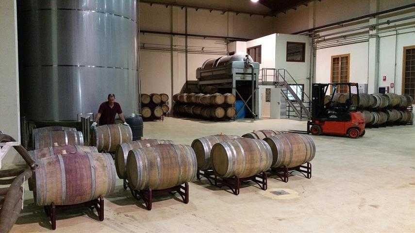 vinos