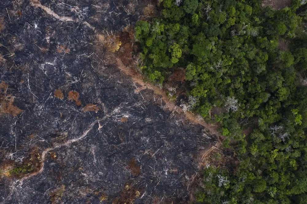AMAZONIADEFORESTADAAP2DICIEMBRE2022