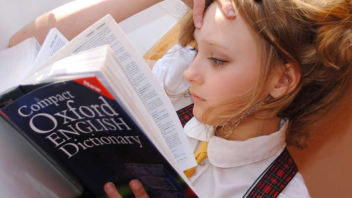 educacion281202