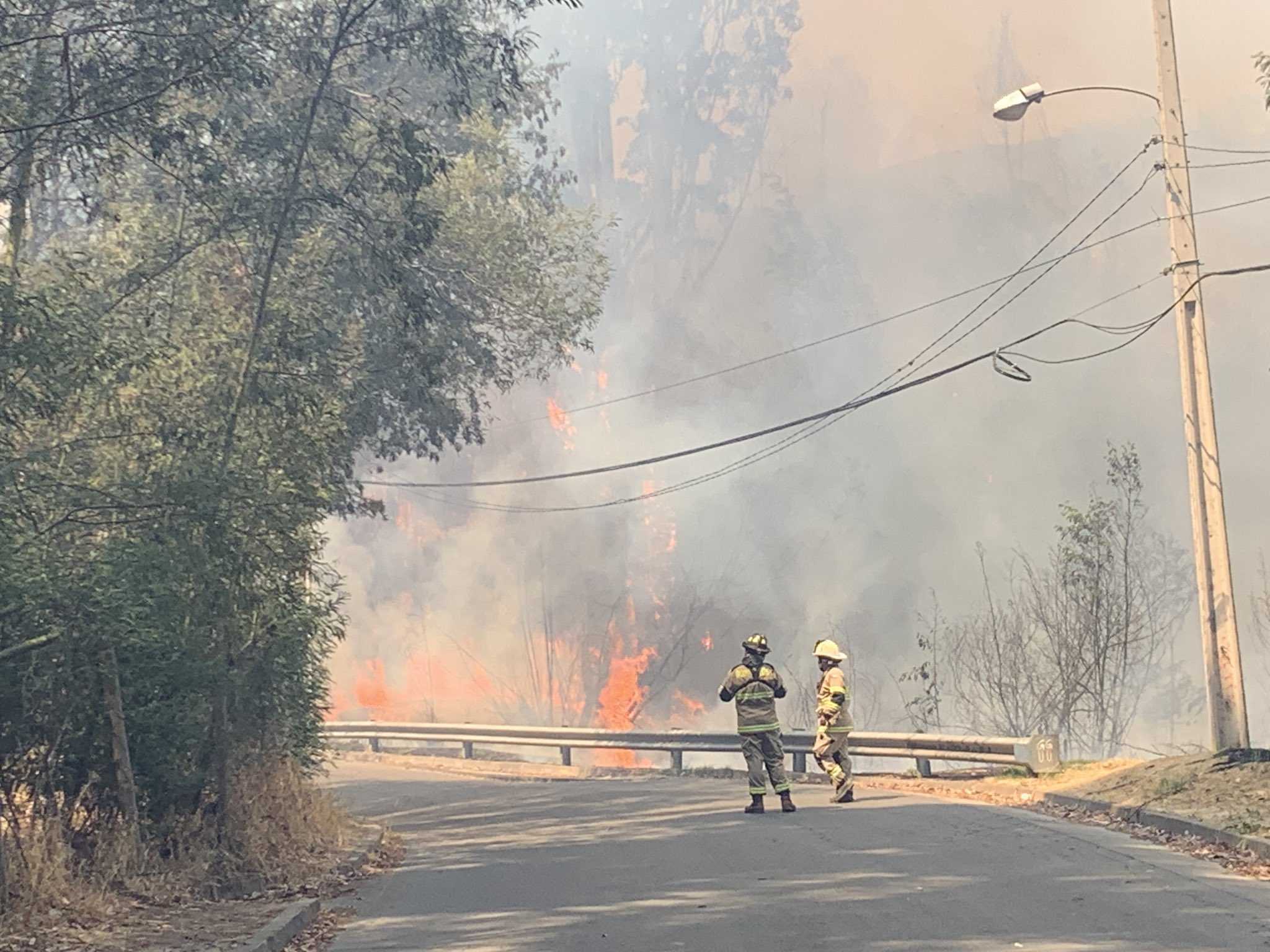 incendio jardin211diciembre