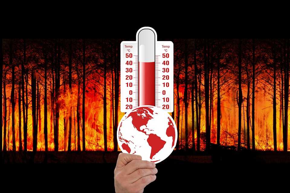 cambio climático5