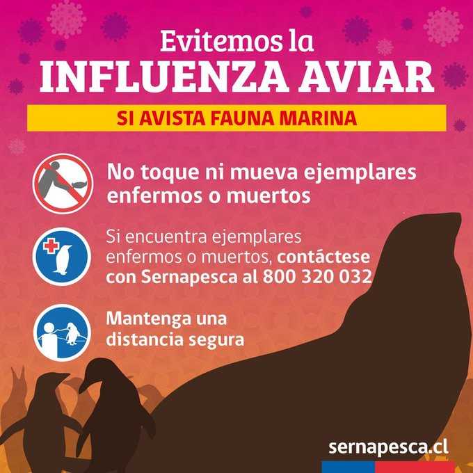 avisosag29marzo23