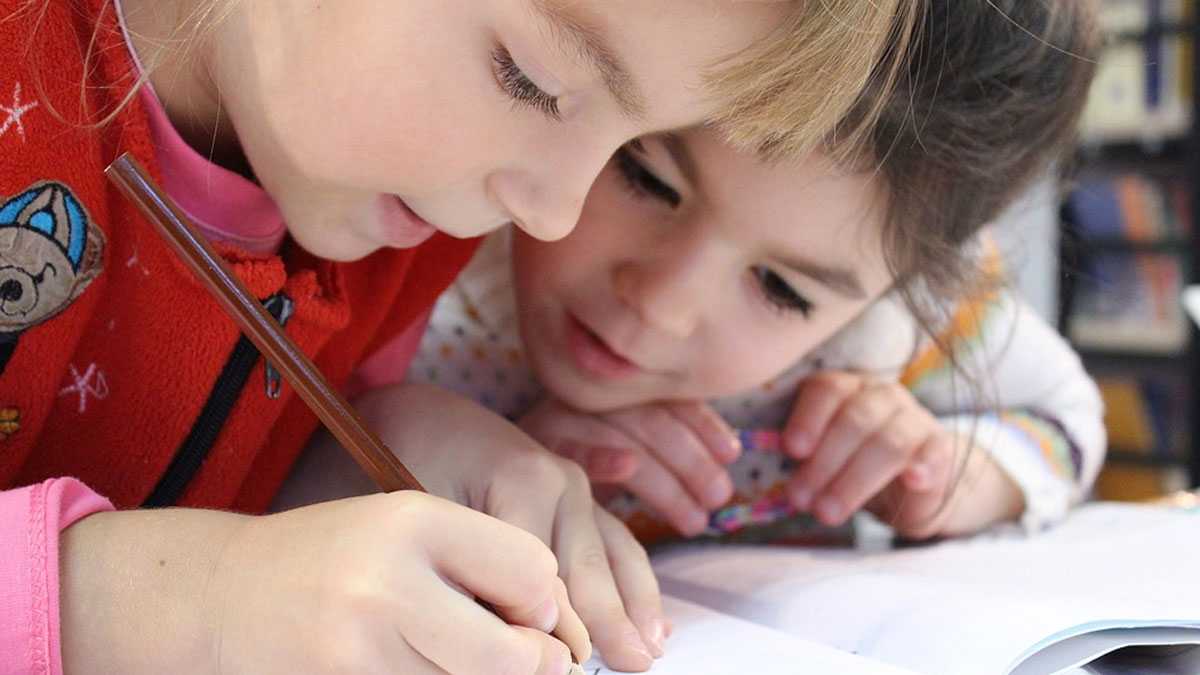 educacion170301