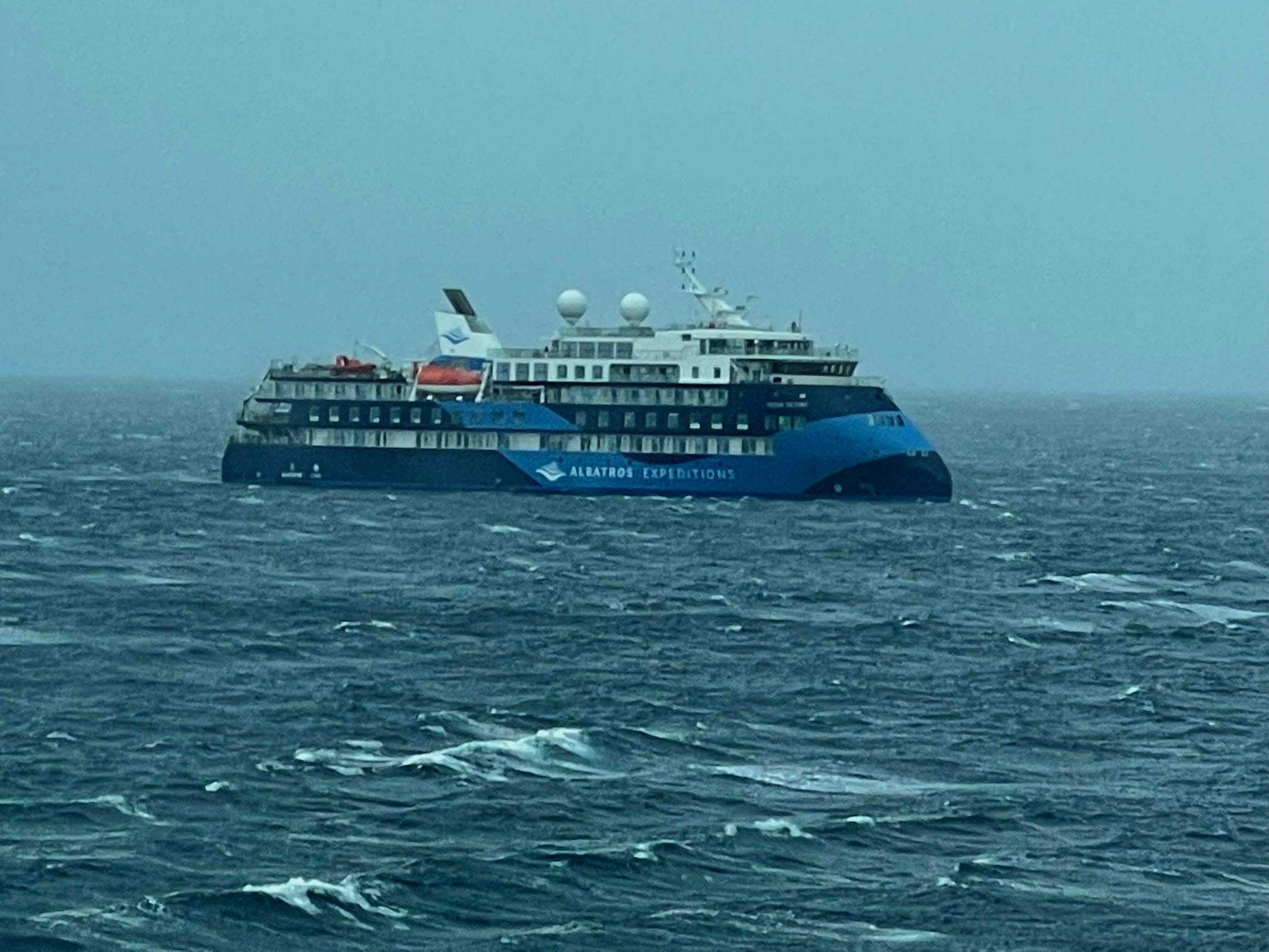 albatros