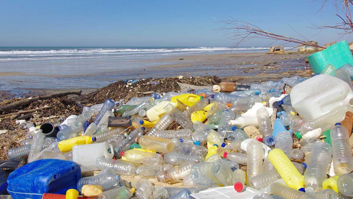 medioambiente170401