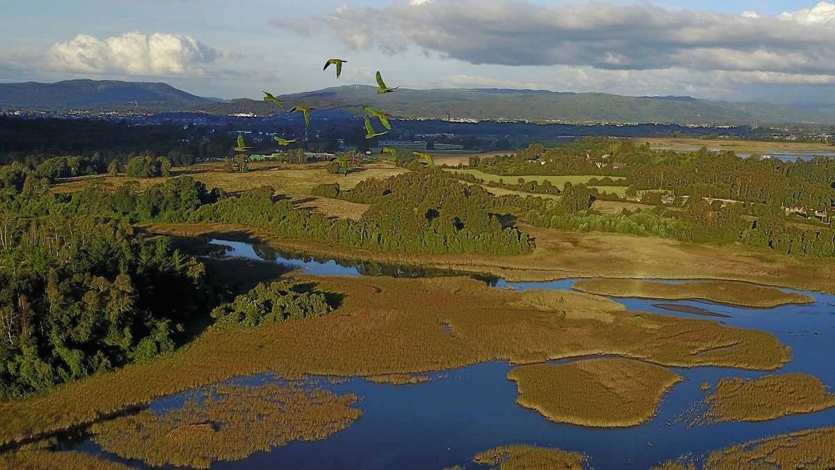 medioambiente220401