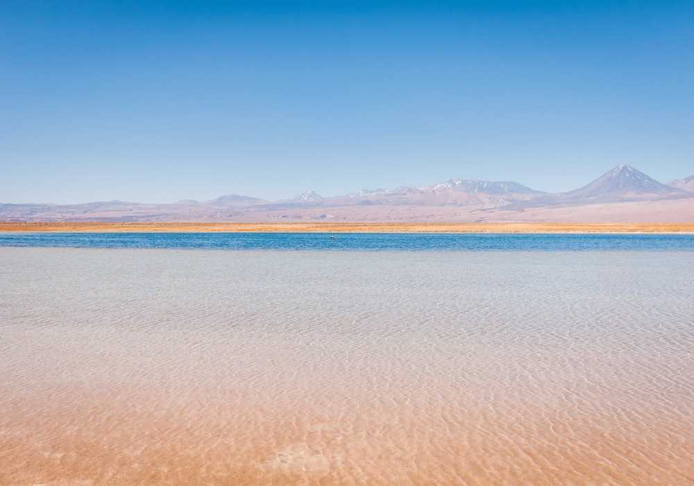 salar