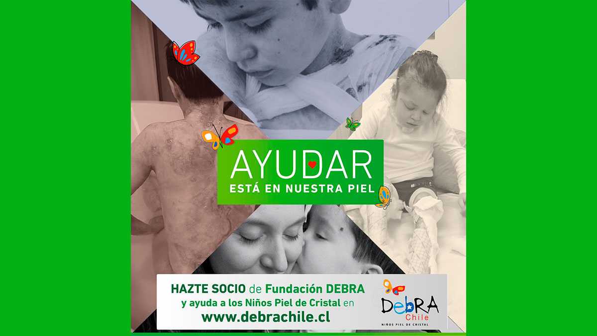 sociedad290401