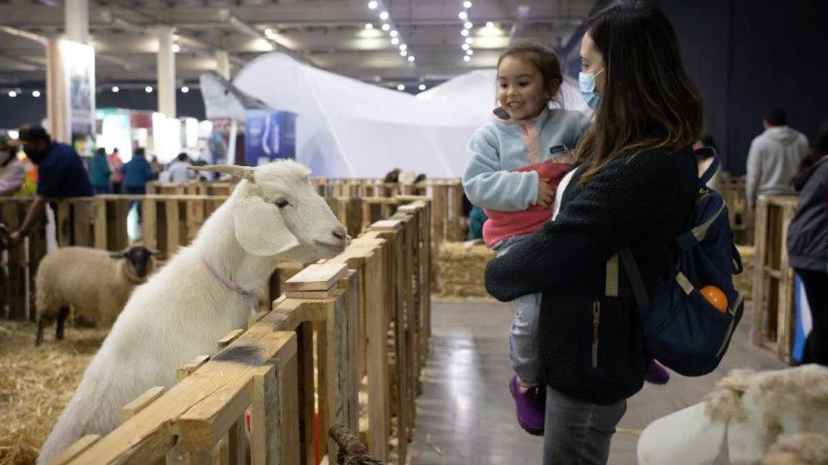animales120501
