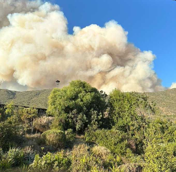 incendio-zapallar