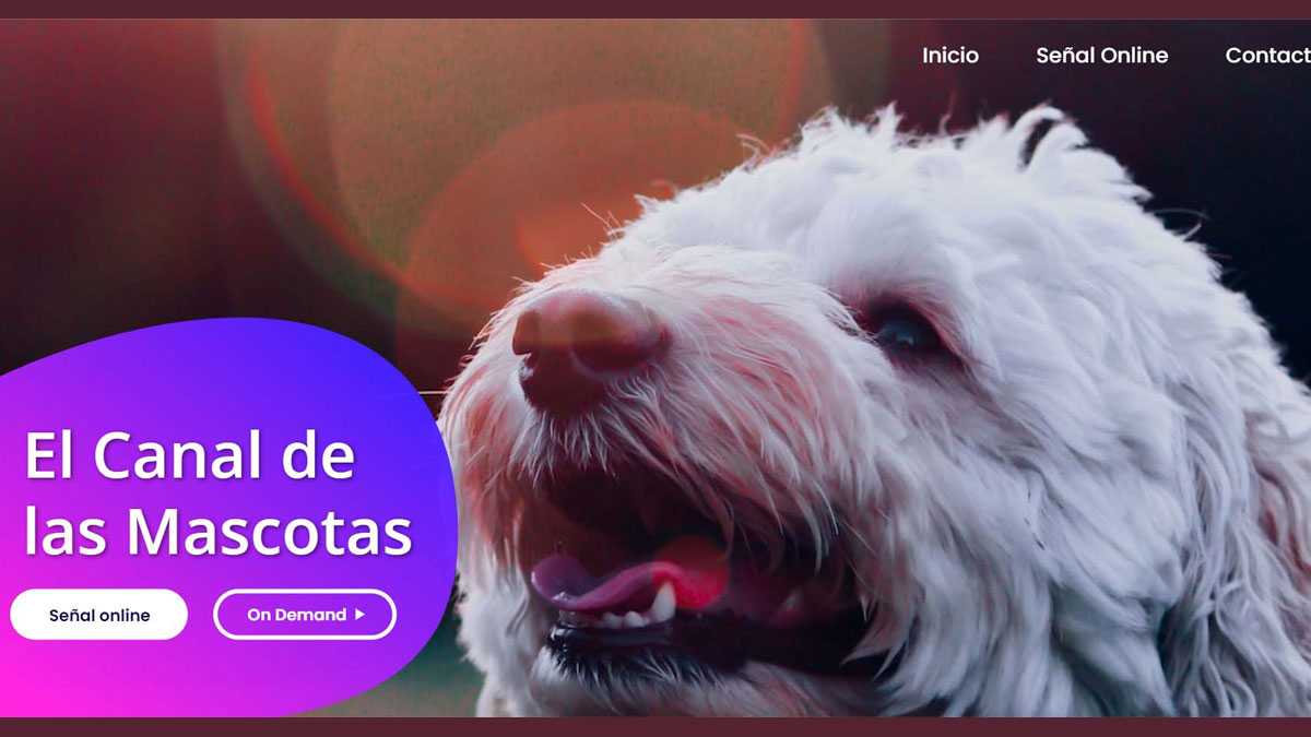 mascotas020501