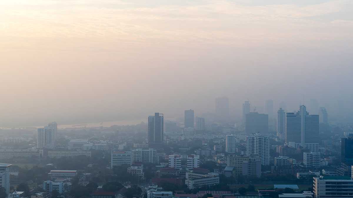 medioambiente130501