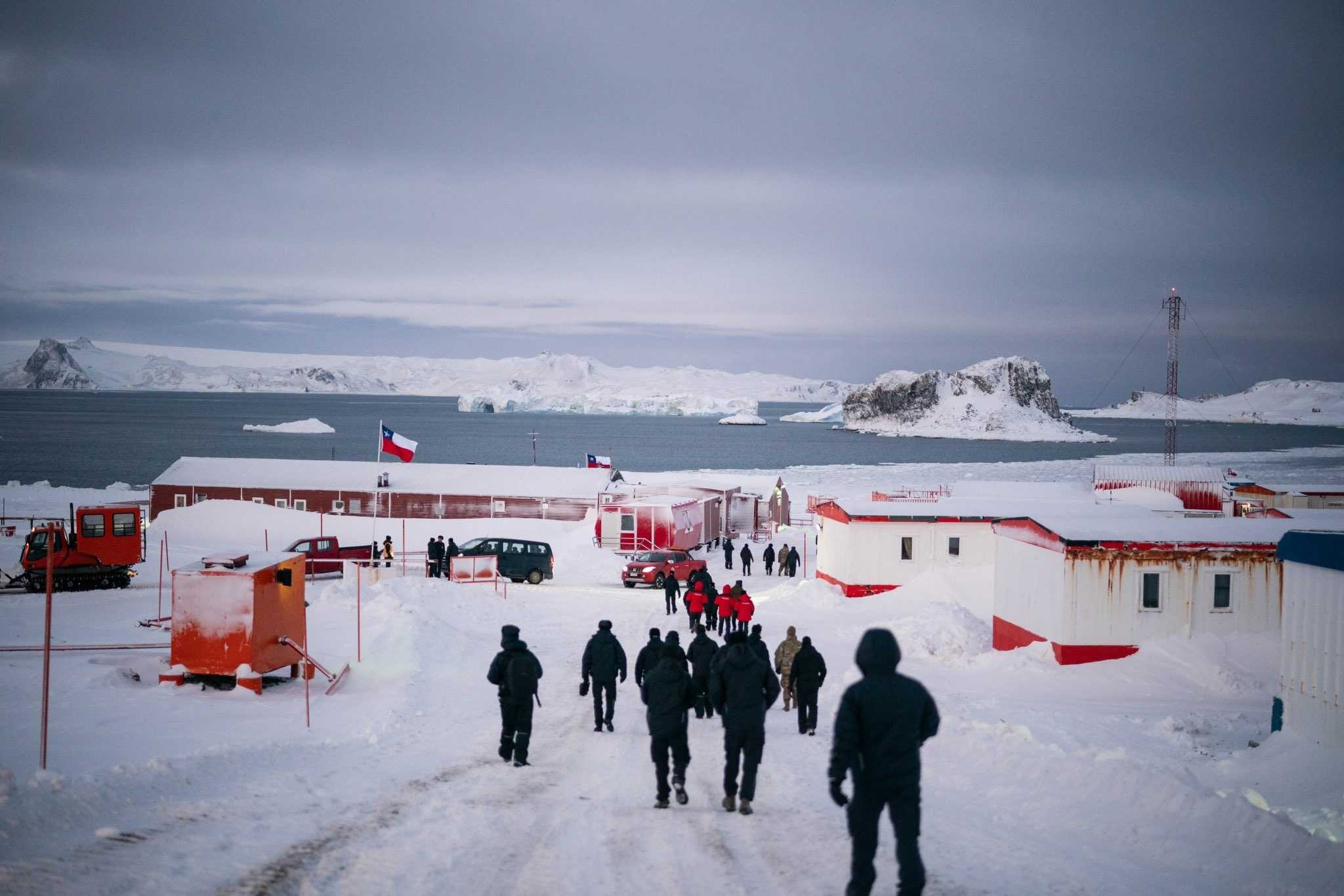 BORICANTARTICA223