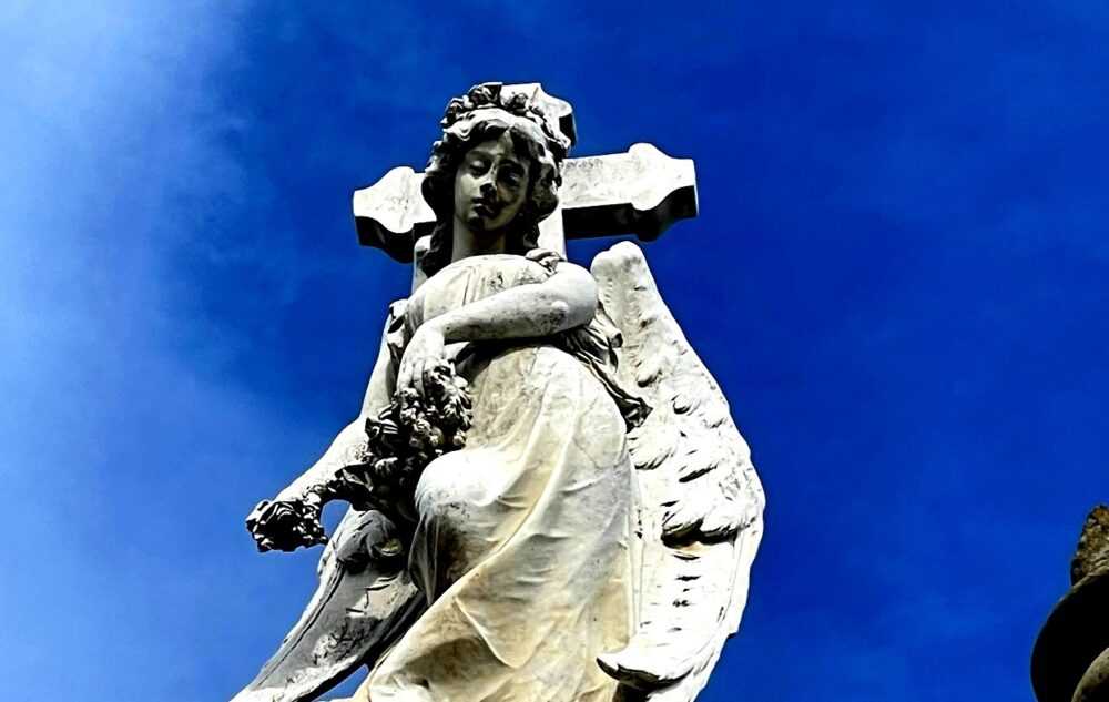 angelaflorespprtada