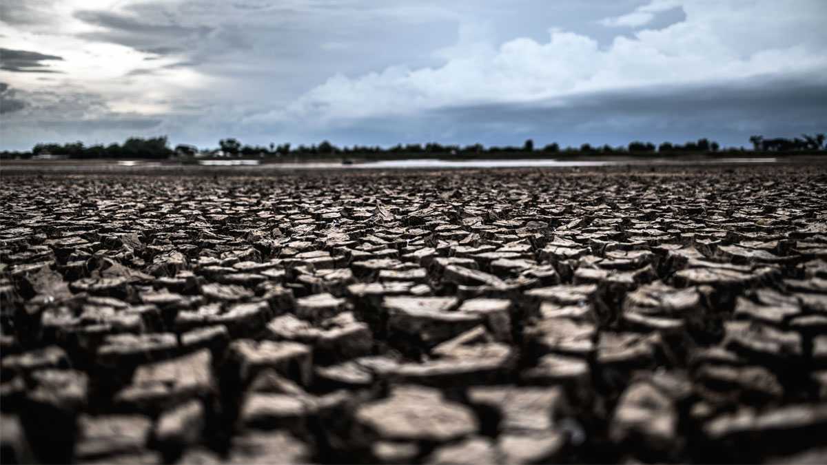 medioambiente050601