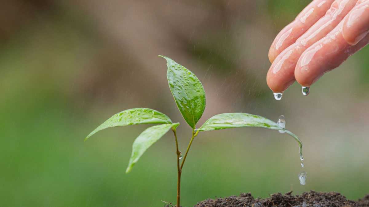 medioambiente100602