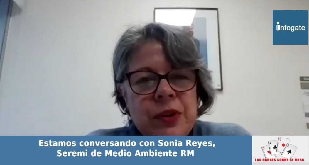 SREMIMEDIOAMBIENTE