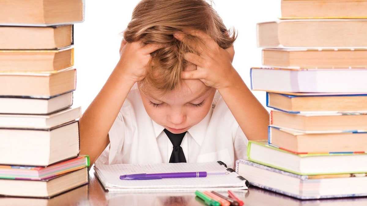 educacion240701