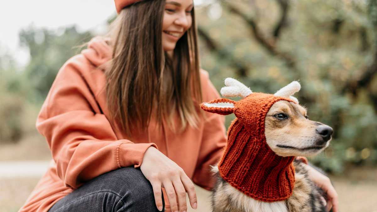 mascotsd