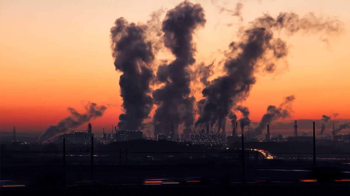 medioambiente010801