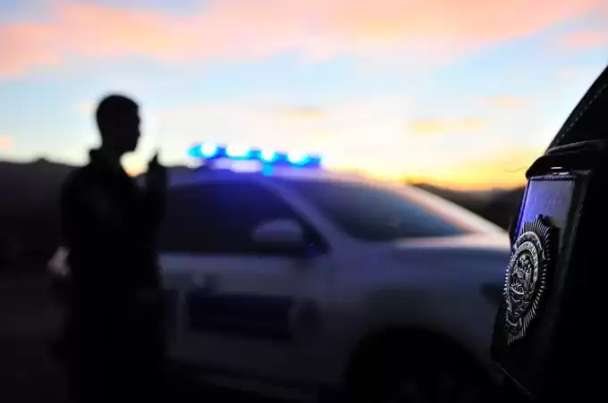 pdi