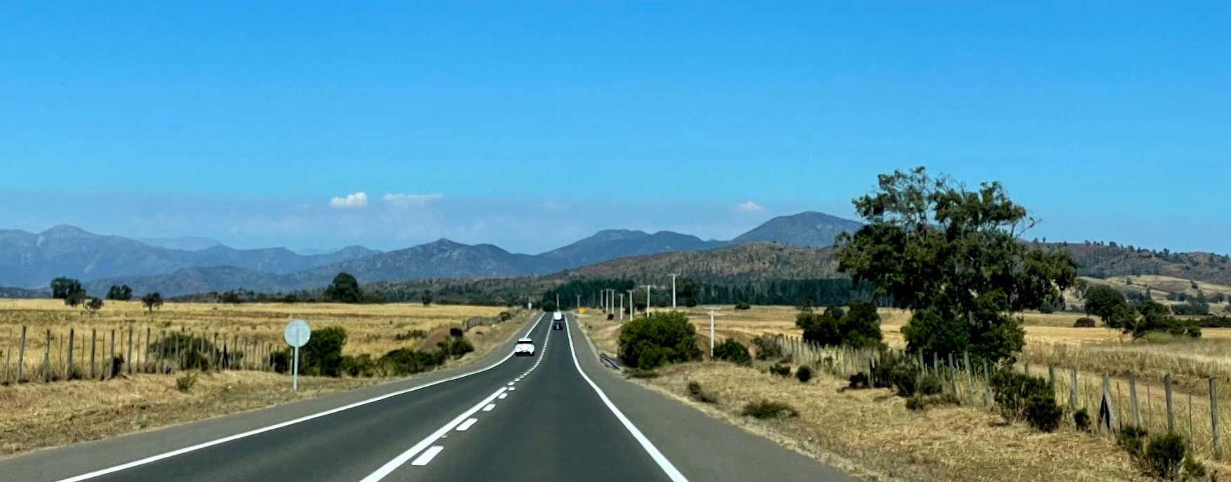 campochileno