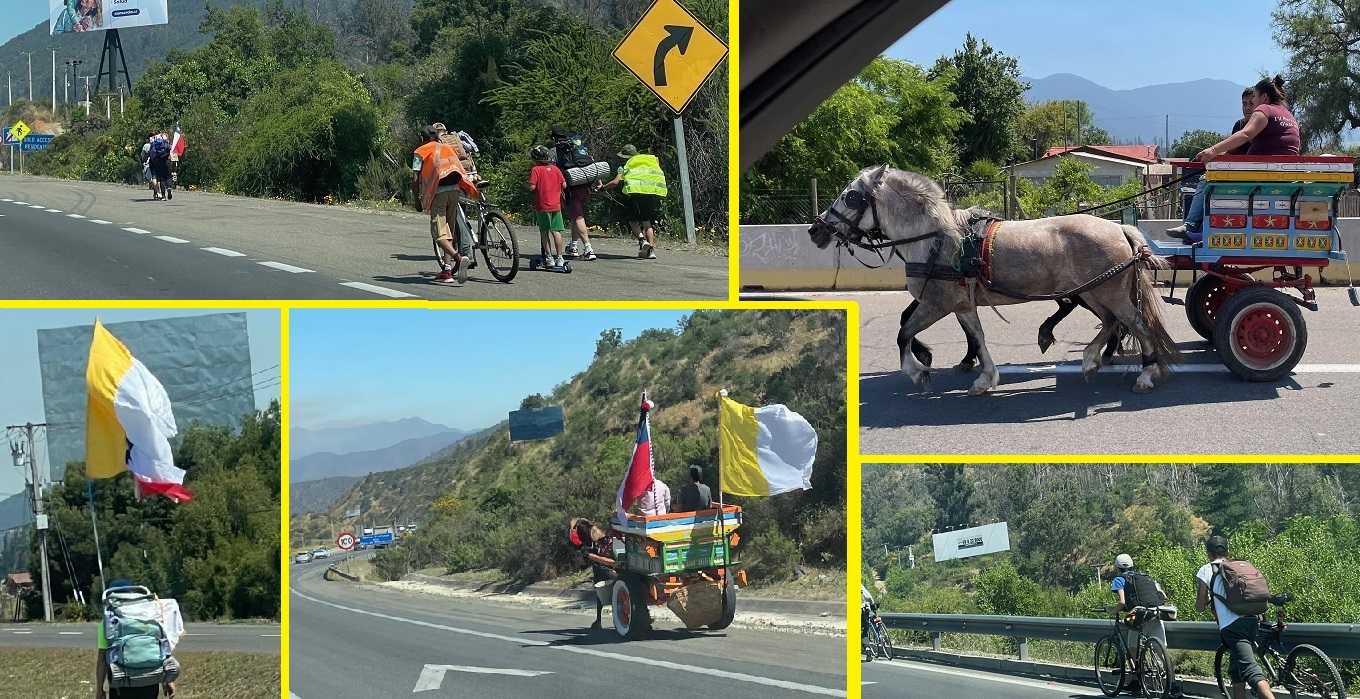 PEREGRINO2023