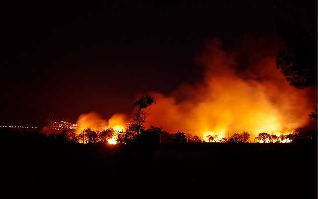 FUEGO (2)