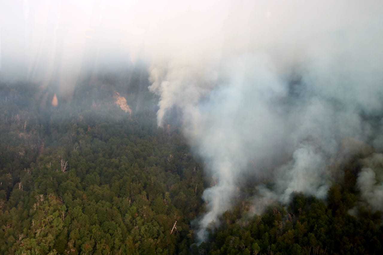 incendio-lonquimay