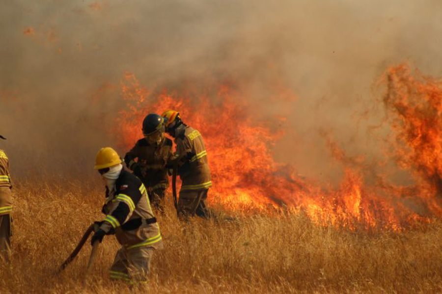 incendios-forestales-valparaíso