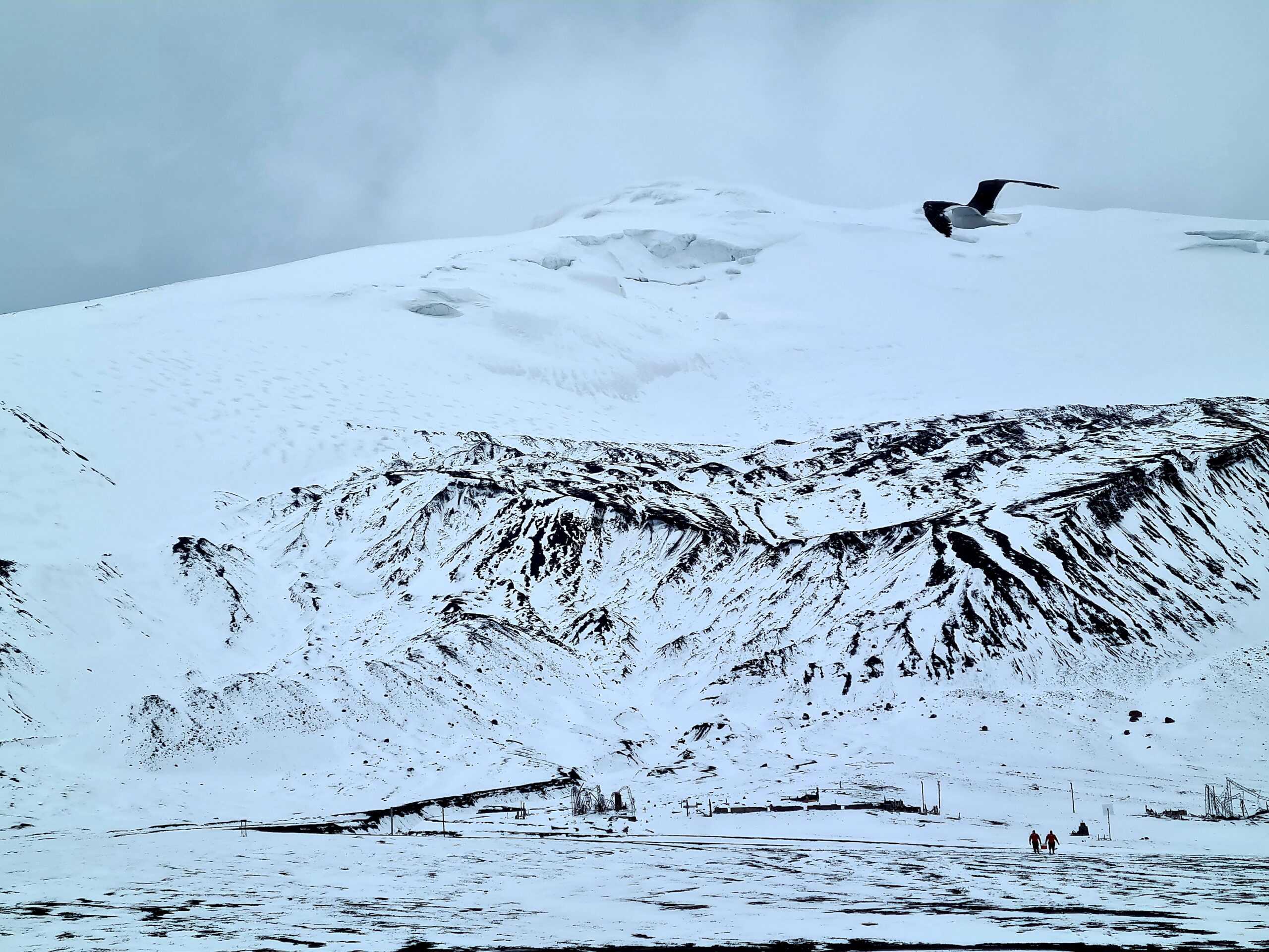 antartica