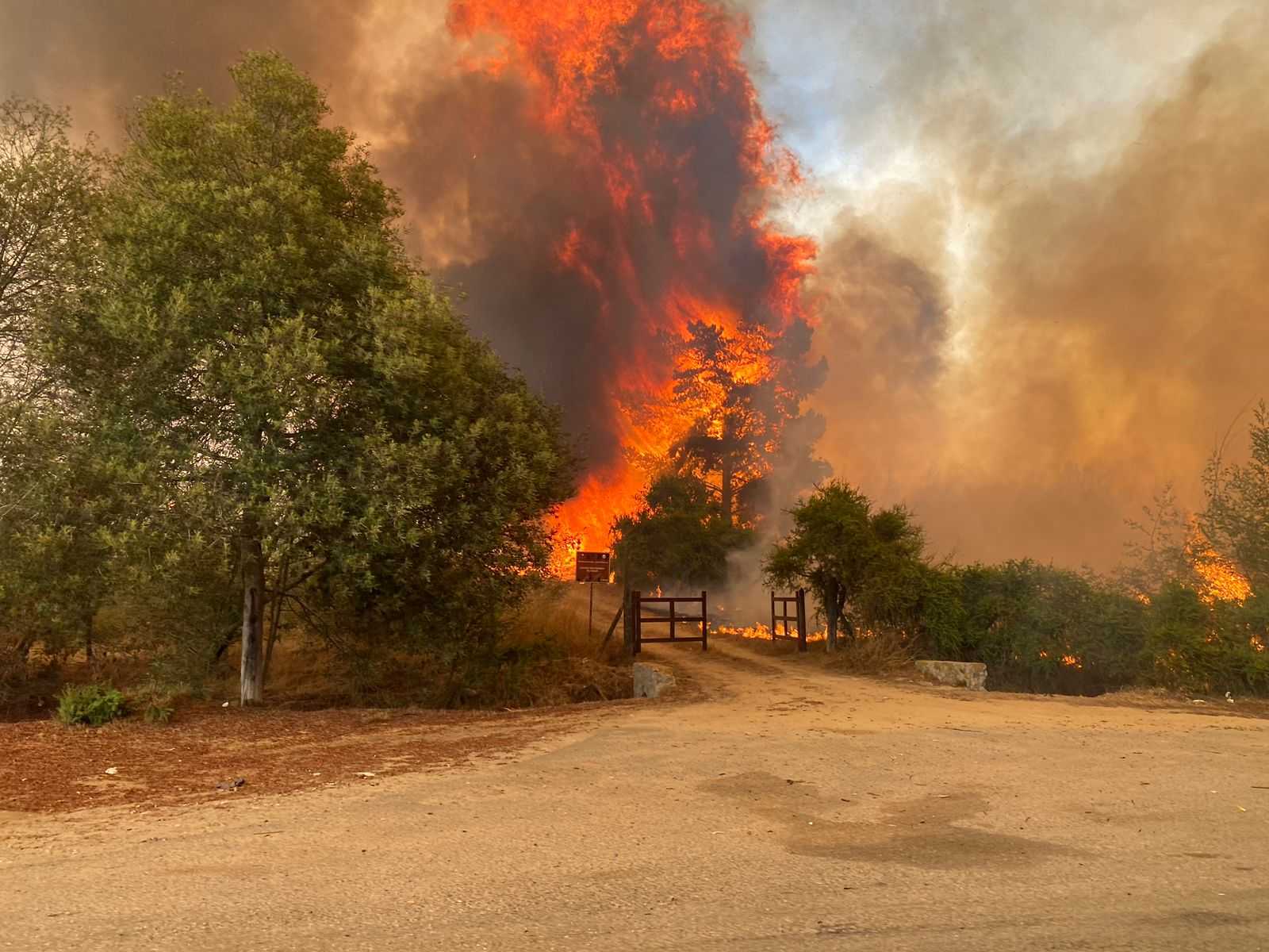 incendios-forestales