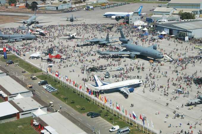 fidae